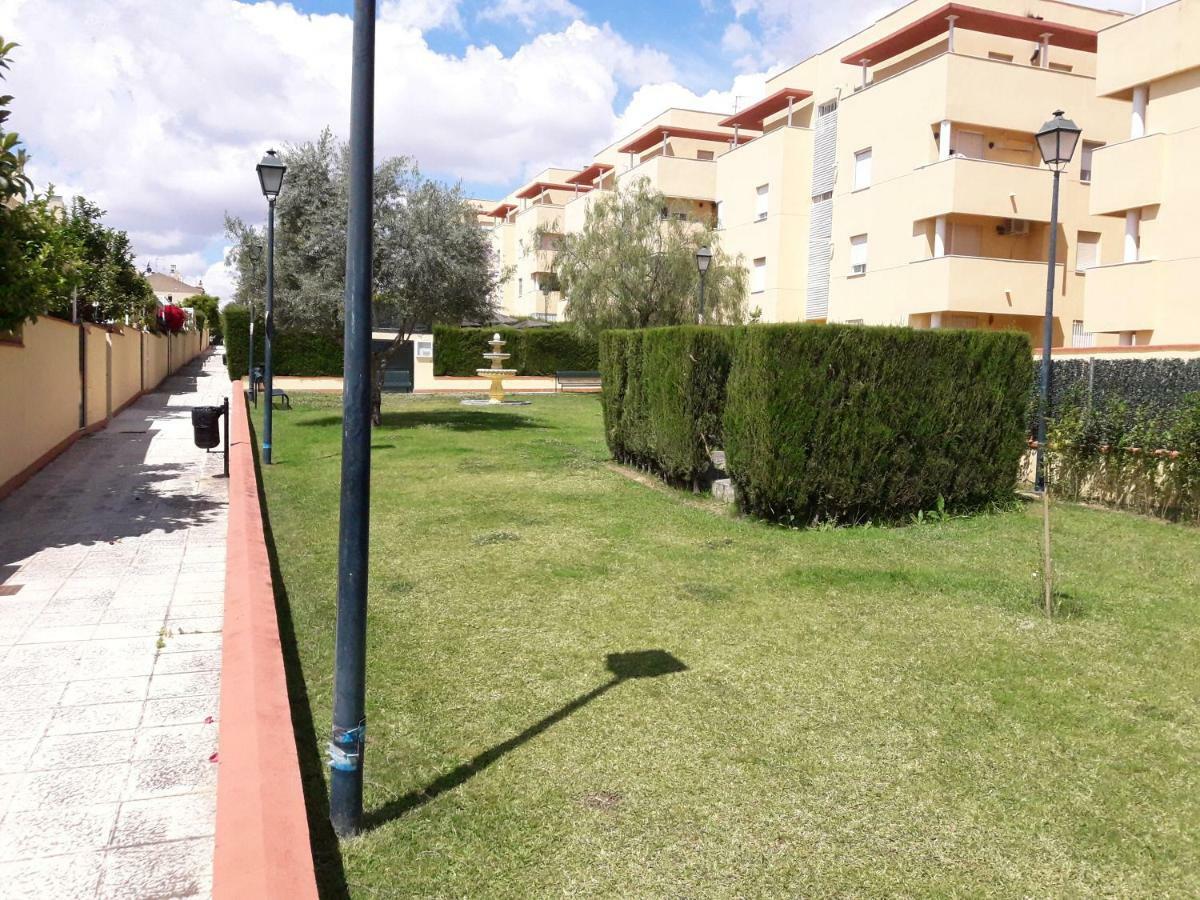 Apartamento Ático con piscina, gran terraza, AC, 2 hab Mairena del Aljarafe Exterior foto