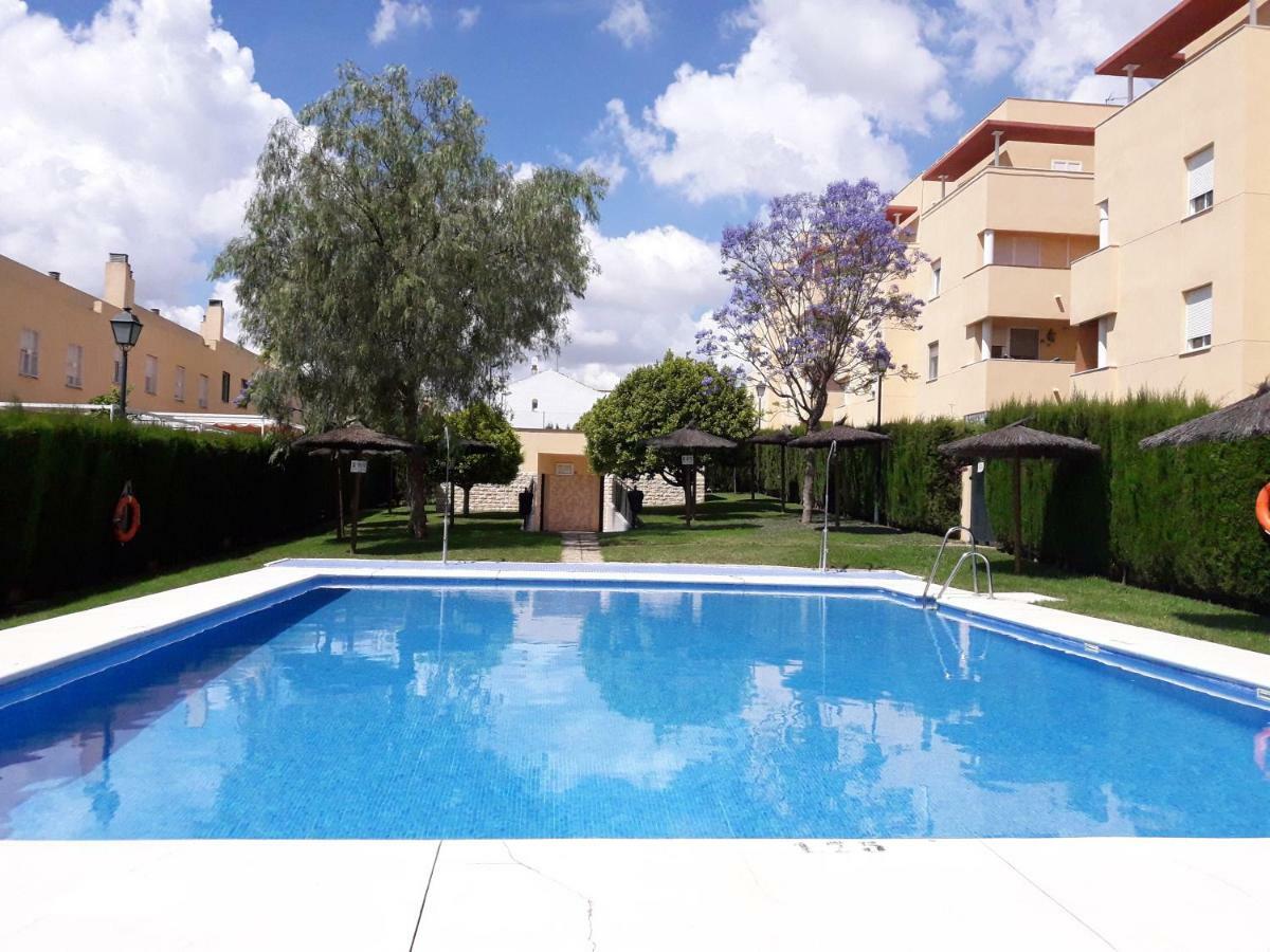 Apartamento Ático con piscina, gran terraza, AC, 2 hab Mairena del Aljarafe Exterior foto